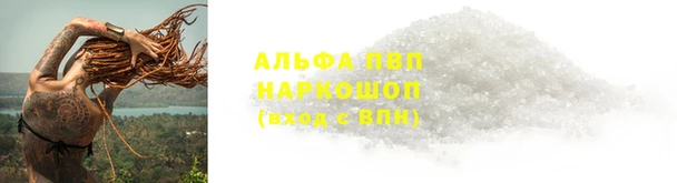 сатива Абаза
