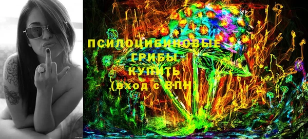 гидра Надым