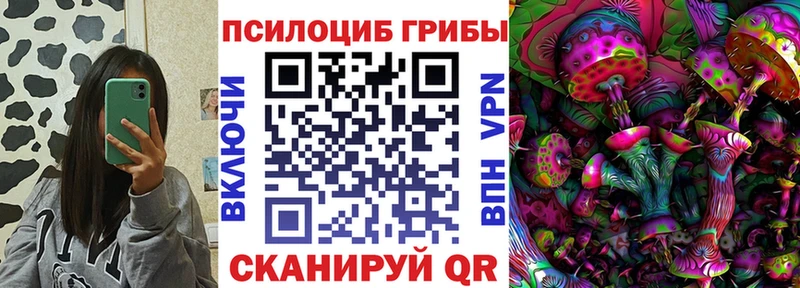 Псилоцибиновые грибы мицелий  купить закладку  Почеп 